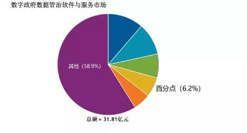 百分點(diǎn)躋身IDC數(shù)字政府?dāng)?shù)據(jù)管理與治理軟件和服務(wù)市場(chǎng)第四名，數(shù)據(jù)處理服務(wù)獲認(rèn)可